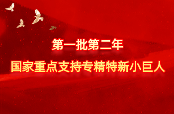 全国仅575家 | 北方PA集团入选第一批第二年国度沉点支持专精特新幼巨人
